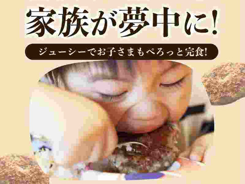 肉汁あふれる！淡路島たまねぎ100％無添加ハンバーグ150ｇ×１０個