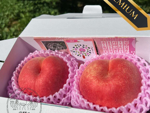 【糖度13度以上 ！！】２玉入り　0.5kg（2玉）　飛騨のたからもも『特選』