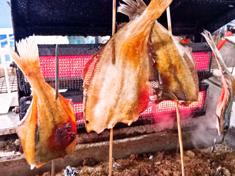 【訳あり】山形県庄内沖　カレイ干物詰め合わせ　冷凍　２パック