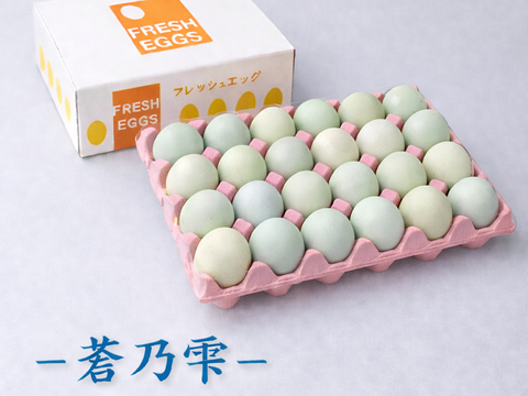 那須ブランド平飼い卵(アローカナ有精卵) -蒼乃雫-〈日和・家庭用〉20個
