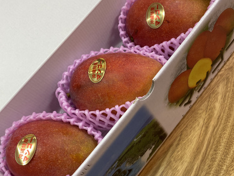 予約『アーウィン』沖縄県産マンゴー  １㎏　2〜3玉