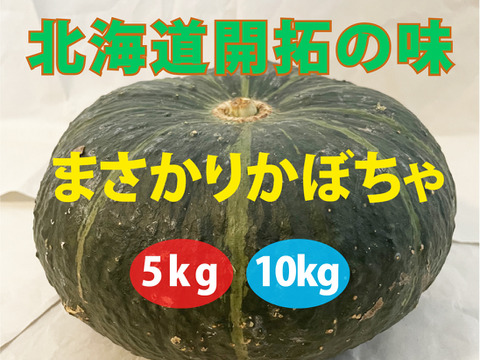 北海道開拓の味！優しい甘さの『まさかりかぼちゃ』10kg