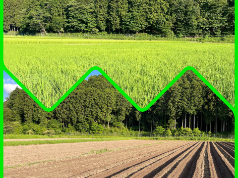 兵庫県丹波産‼️　農家のおまかせ野菜セット