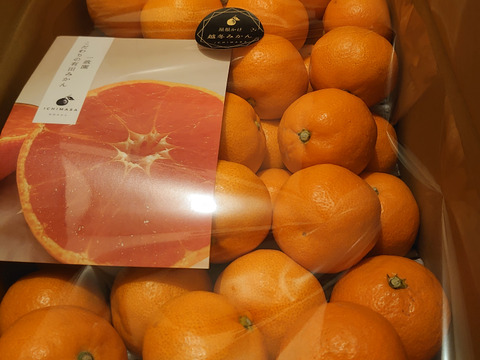 超完熟宮川早生⭐︎屋根かけ越冬みかん　3キロ2Sサイズギフトにも！　有田みかん　早生みかん