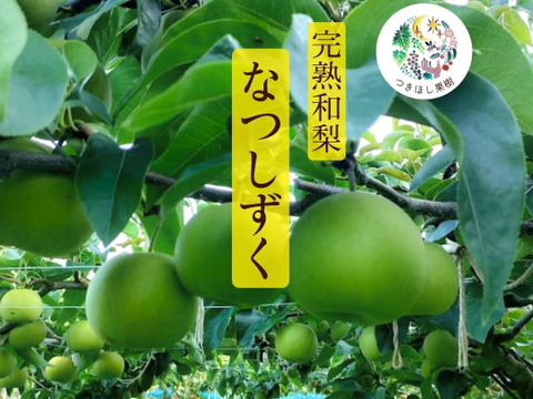 ＜ご家庭用＞『なつしずく』爽やかな香と味　２㎏以上