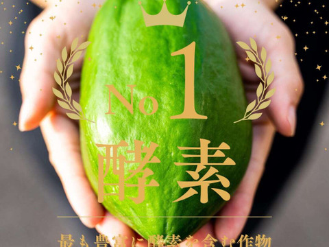 ＼青パパイヤの丸ごとおやつ／宮崎青パパイヤのひんやりピール 50g