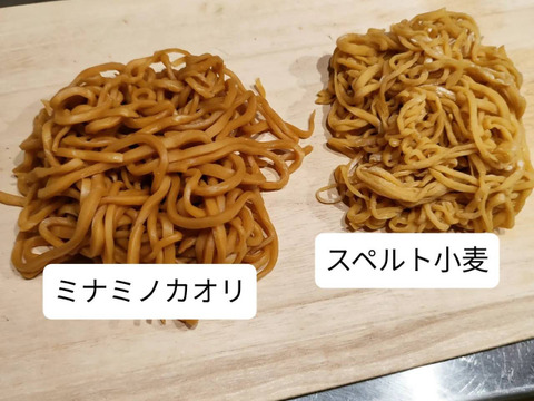 自然栽培 古代小麦『スペルト小麦』精白粉 （800g）