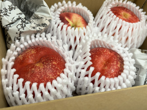 極甘！とれたてネク桃・ハネージュA品（約1㎏）