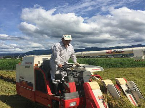 【福袋】　限定個数特別価格　新潟米豪華な食べ比べセット　新潟県産　従来種コシヒカリ　店頭で入手するのは難しい希少米　と　トップブランド　新之助（新潟県認証銘柄）　各白米5kgセット（10キロ）