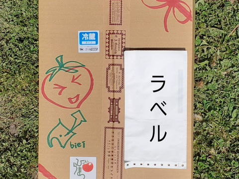 【限定】子どもも喜ぶデカウマ道産トマト（4kg箱）