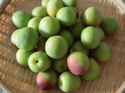 【2kg】紀州南高梅【あなたの優しさに漬け込まれたい】