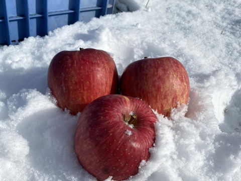 【長野県産】リピート続出！
雪の中で熟成　雪室リンゴ
サンふじ　家庭用　2kg