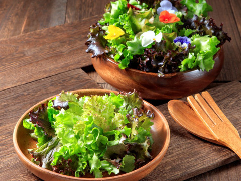 美食の演出！エディブルフラワー『SANOKA』ビオラ スイートローズ 20輪入り 食用花 ケーキ スイーツ デコレーションにも！