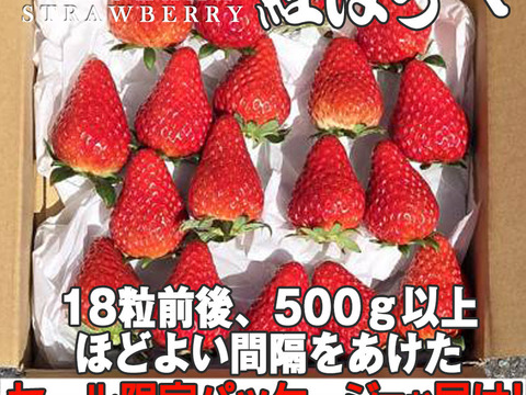 【2026キックオフセール】べにほっぺ30ｇ以上の大粒をたっぷり500g【通常便】