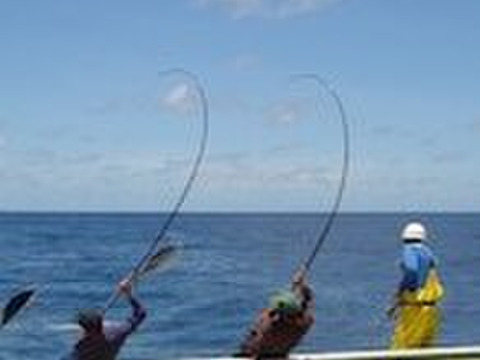 【訳あり】B1カツオ藁焼き6包