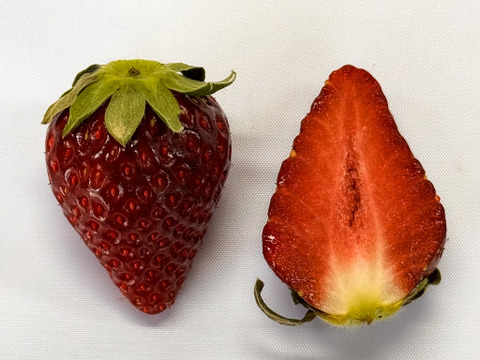 【とても稀少な黒いちご】「満天☆青空レストラン」で紹介された特選食材です！軽井沢高原プレミアムいちご（真紅の美鈴）・化学農薬を限界まで抑えたこだわりの当園独自農法★15粒または18粒入り【贈答用】