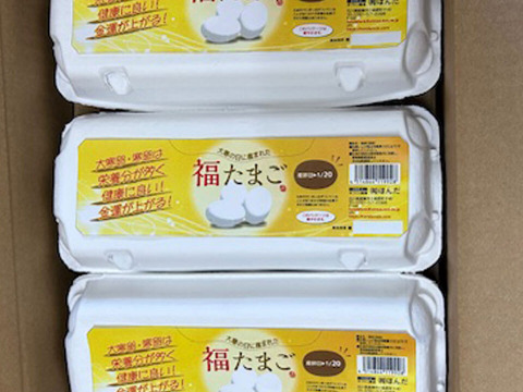 予約受付 【大寒卵】大寒たまご 卵 玉子 10個入り 3パック 卵