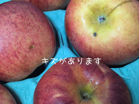 【訳あり】『なかの真紅』　約2.7kg【希少品種】