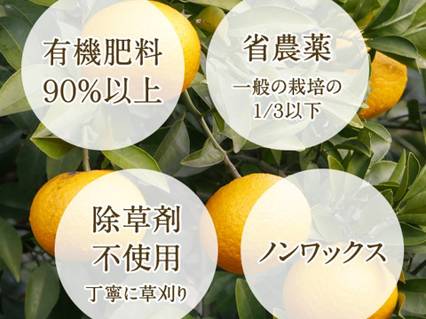 はっさく 約4kg (八朔) すっぱ甘くてほろ苦い、爽やかさが くせになる (出荷:1月下旬-3月)