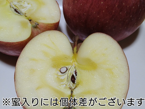 *雪ん子*全玉蜜入り◆訳あり◆完熟ふじりんご約4kg＆りんごジュース1本