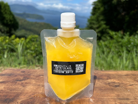 夏ギフト】冷凍甘夏みかんジュース6本セット（1本150ml）：熊本