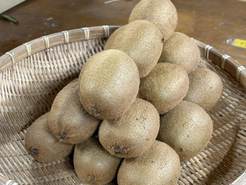 【送料500円引】甘くて美味しいキウイフルーツ 大サイズ ※追熟剤入り