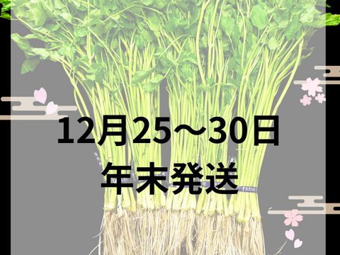 年末【予約用】約1000g 三関産せり せり　三関セリ　年末予約