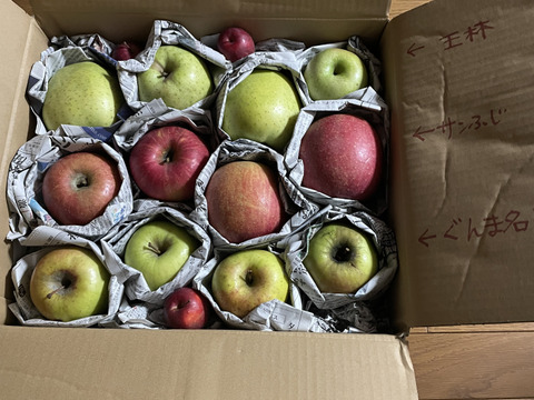 季節のリンゴ食べくらべ　訳あり家庭用（約4.5㎏）10～20玉
サンふじ、ぐんま名月など、2種類からお届け　
大きさ、形やキズなどで贈答用になれなかったりんごたちをバラ詰めで　信州長野県産