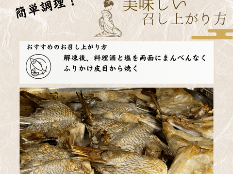 【冬ギフト】マダイのカマ3袋&マダイの煮付け3袋