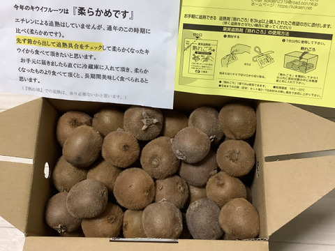 【数量限定・通常品の3割引き！】　　　　　　　ジューシーな果肉！安心安全の“有機JAS認証栽培”和歌山県古果園キウイフルーツ 《規格外品》 【たっぷり 3kg】