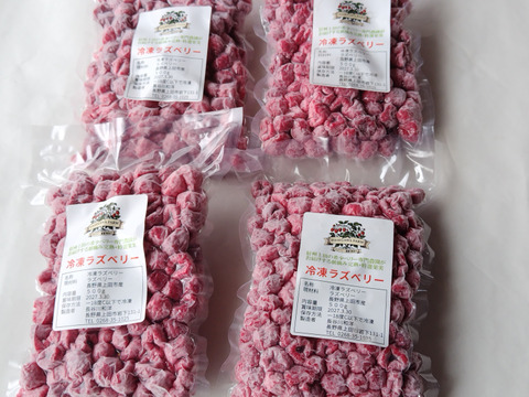 長野県産真空パック入り冷凍ラズベリー2㎏