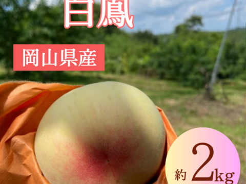 M様専用2025年追加【贈答用】【夏ギフト】岡山の白桃・白鳳～贈答用★とろける果肉とたっぷりの果汁です（2㎏箱）②