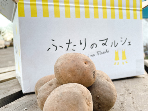 ひと味違う甘み！越冬じゃがいもインカのめざめ（５㎏）