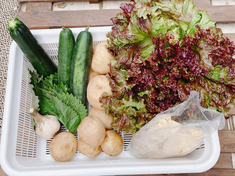 旬の路地野菜「お得ミニセット」
真竹たけのこ水煮、ジャガイモ男爵、ズッキーニ、キュウリ、サニーレタス、ニンニク、大葉【限定10セット】農薬不使用】 除草剤、防虫剤、殺虫剤等使用していません。
