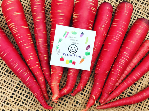 冬が旬　金時人参2キロ