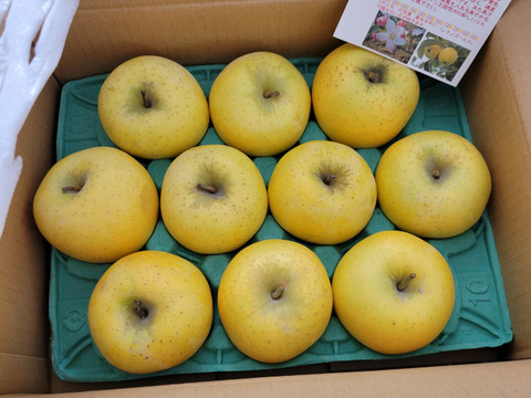 シナノゴールド　更にお値下げ！　お徳用　訳あり　ご家庭専用 ご好評販売中　3キロコース　(10個から12個前後入り）