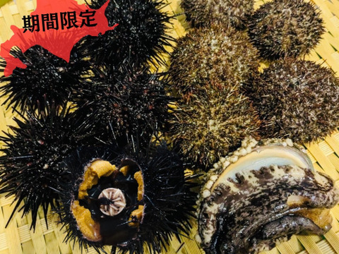 【お中元】【ギフト】【期間限定】海鮮盛り