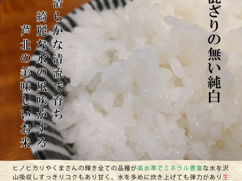 熊本県産ヒノヒカリ大関山系米【20kg】標高150ｍ以上の山間地清流で作られた米 ヒノヒカリ 米 お米 20kg 熊本県産 令和6年産 玄米20kg 精米後