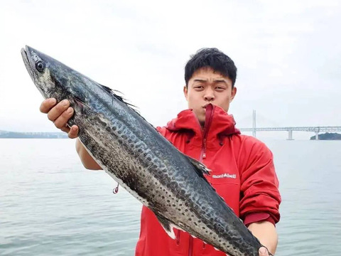 極上の旨みと甘味
サワラのたたき 2人前 (約200g)