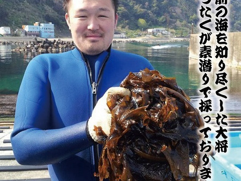 噛めば噛むほど旨味が染み出る！越前産天然干しめかぶ40ｇ3個入