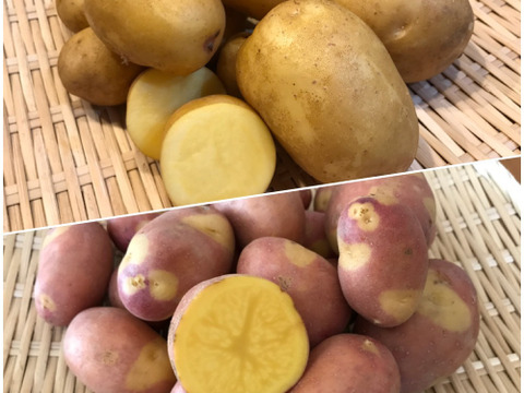インカ2種食べ比べセット 各2kg【特別栽培】サイズ無選別