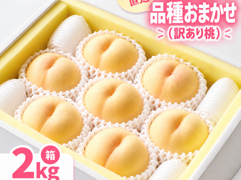 訳あり桃】品種おまかせ☆岡山の桃（2kg箱）：岡山県産の白桃｜食べ