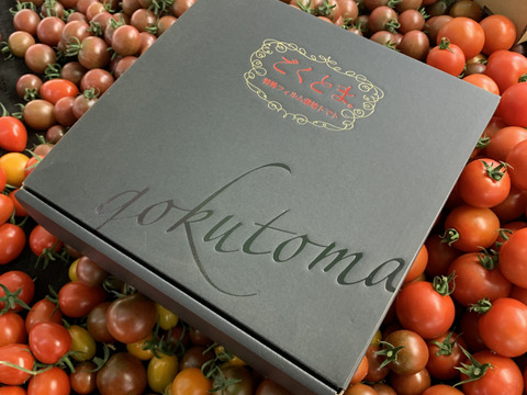 贈り物にはこれ♪龍宮ジュエリーギフト✨