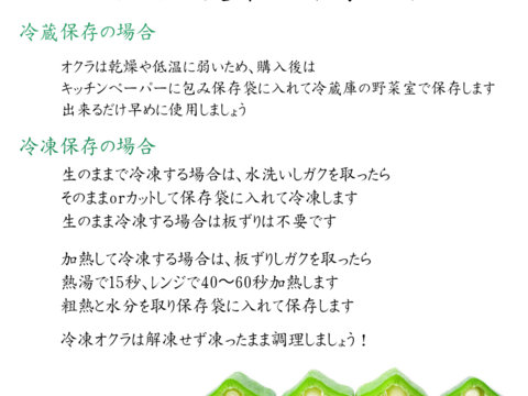 熊本県八代産　朝採おくら　１kg　100本以上
