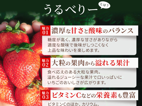 いちご うるベリー220g×2パック【冬ギフト】