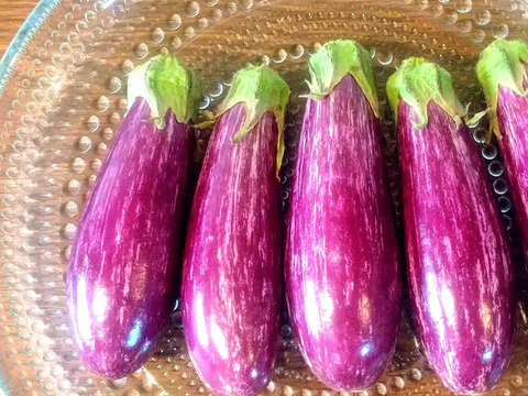 なす・白なす 食べ比べセット♪ 2kg | 野菜/茄子 産直アウル