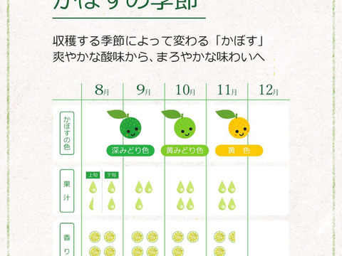 小さくて使いやすい！種無し小玉かぼす10kg（約200～300個）