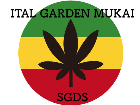 ビタミンいっぱい　ヘルシーキウイ🥝　GO GREEN!（1.5KG)