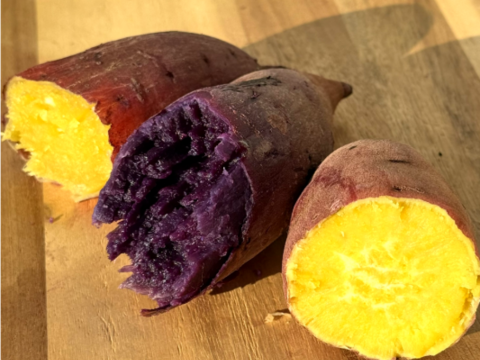 【ほくほく・ねっとり食べ比べ】東京で作ったさつまいも「シルクスイート」「ふくむらさき」「くりかぐや」（ご家庭用２㎏）東京エコ100