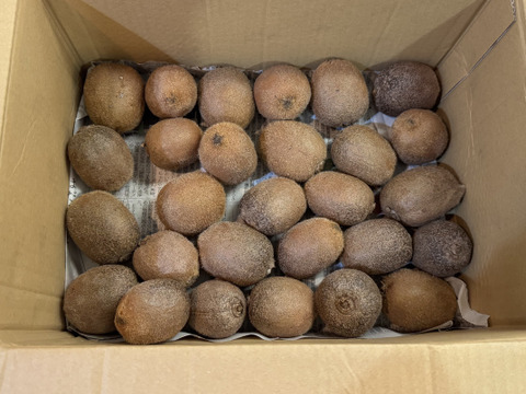 キウイ好きな方集まれー！！農薬・化学肥料・除草剤不使用　生産量日本一！愛媛県産小ぶりキウイちゃん（ヘイワード）5kg(75個程度）